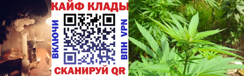 Купить закладку Марихуана  Псилоцибиновые грибы  ГАШИШ  Меф  Alpha PVP  Вилюйск