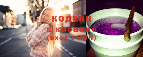 мдпв Краснослободск