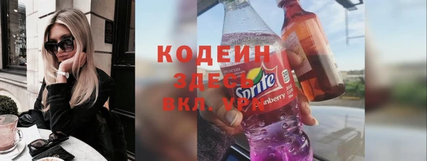 мдпв Краснослободск