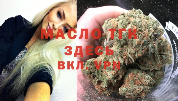 винт Каменка